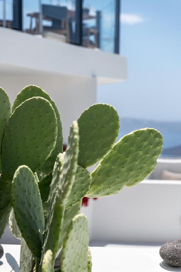 Akra Suites & Spa Imerovigli  Bagian luar foto